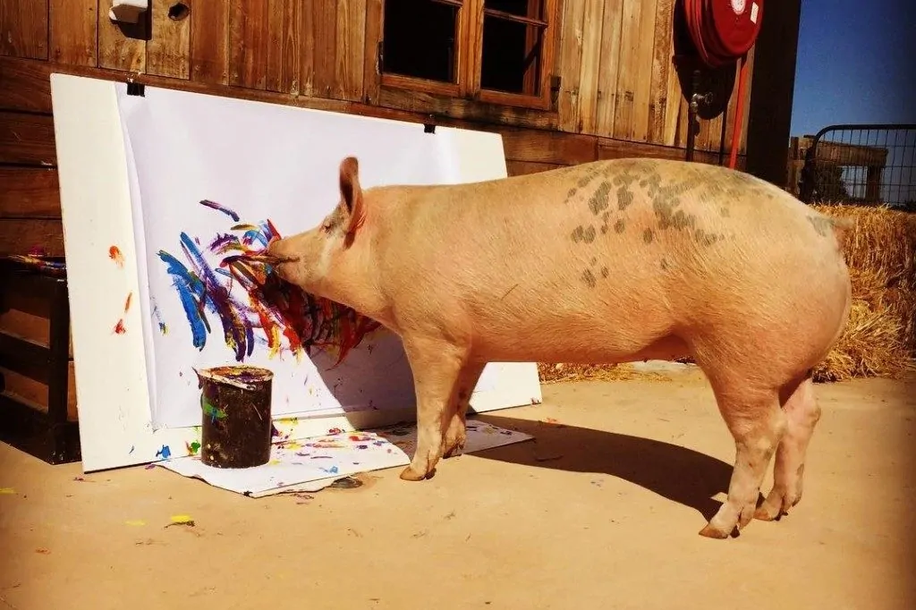 Pigcasso