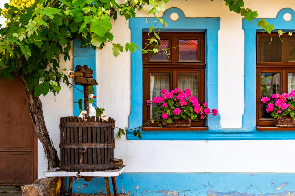 Tajemství dobrého bytí v Karpatech: Warhol, víno & wellness