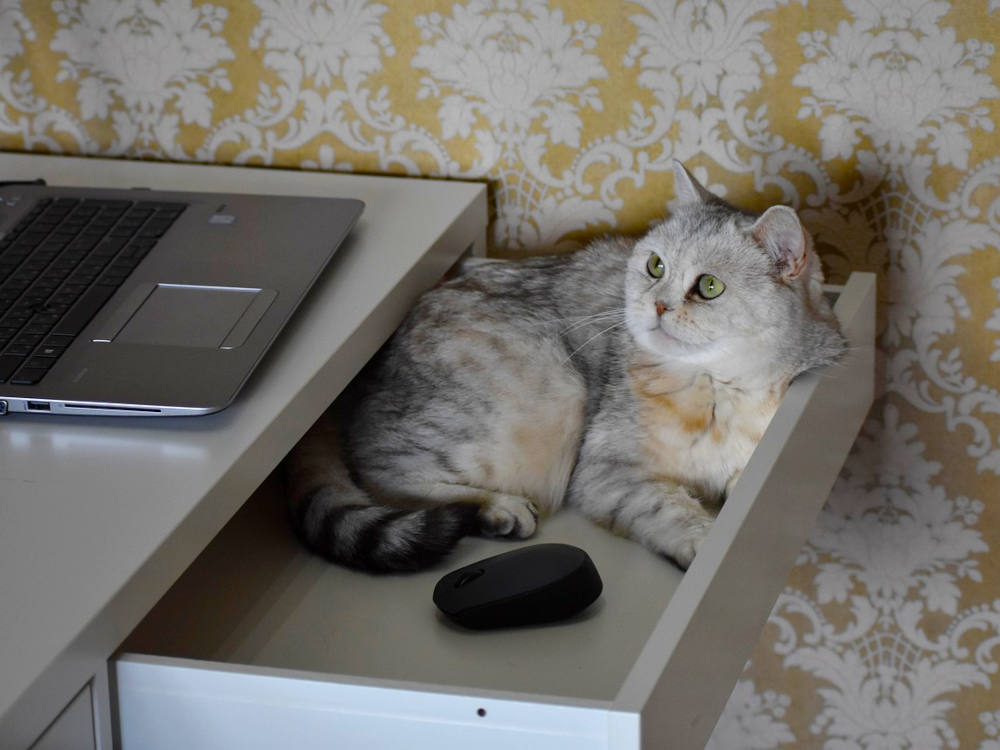 Pět dobrých zpráv do nového týdne