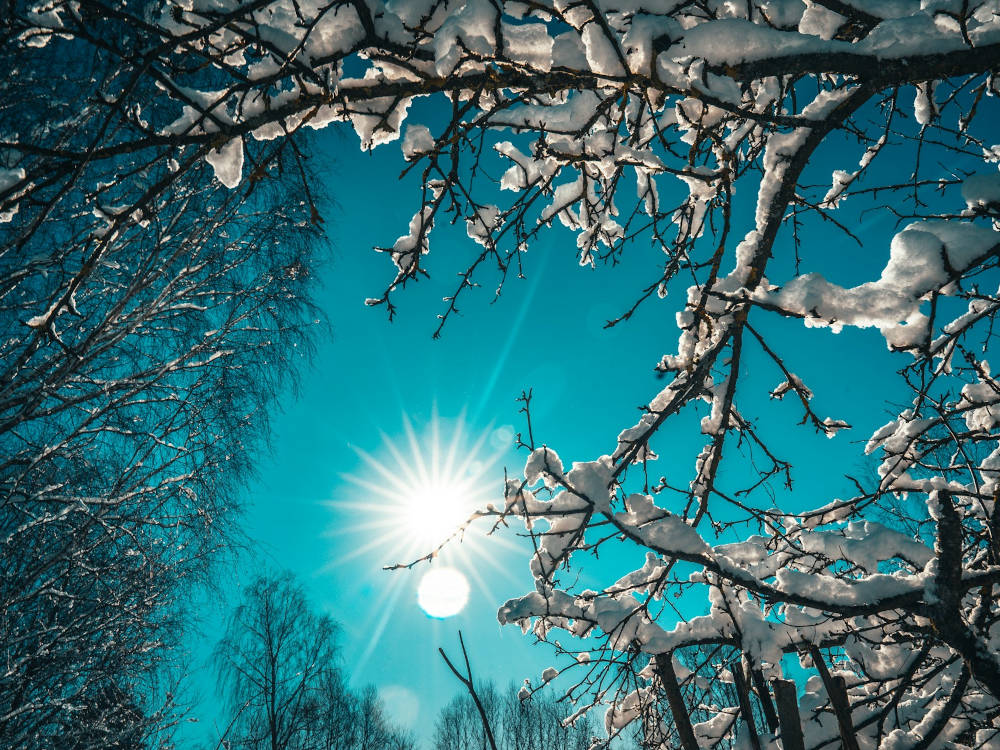 Pět dobrých zpráv do nového týdne