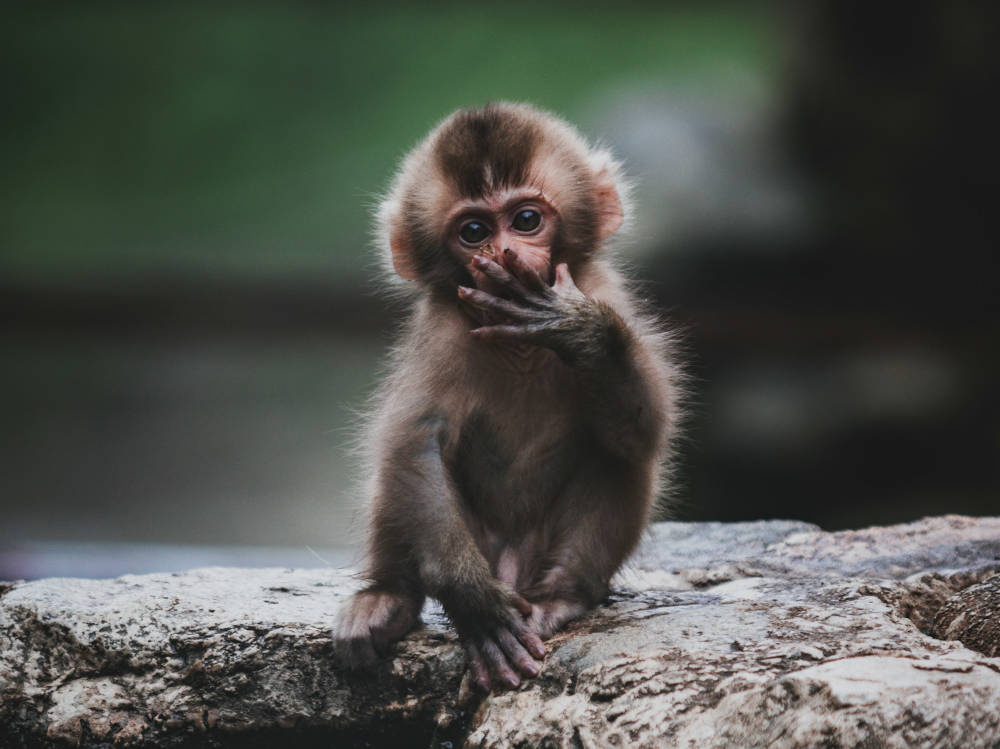 Pět dobrých zpráv do nového týdne